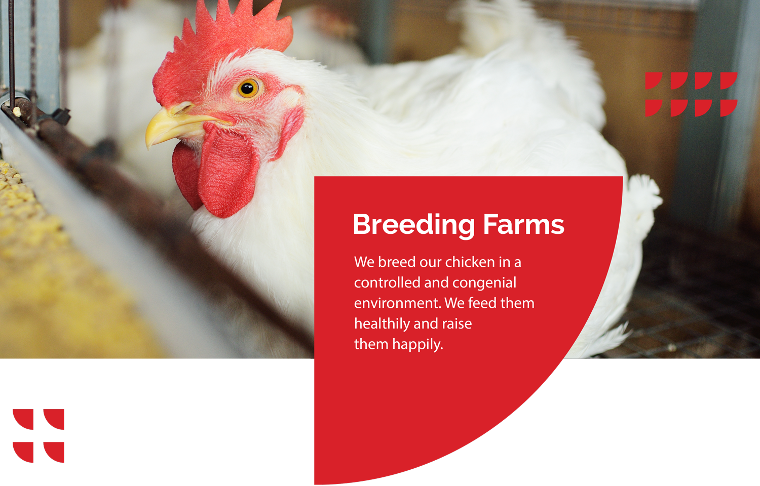 Breeding-Farms