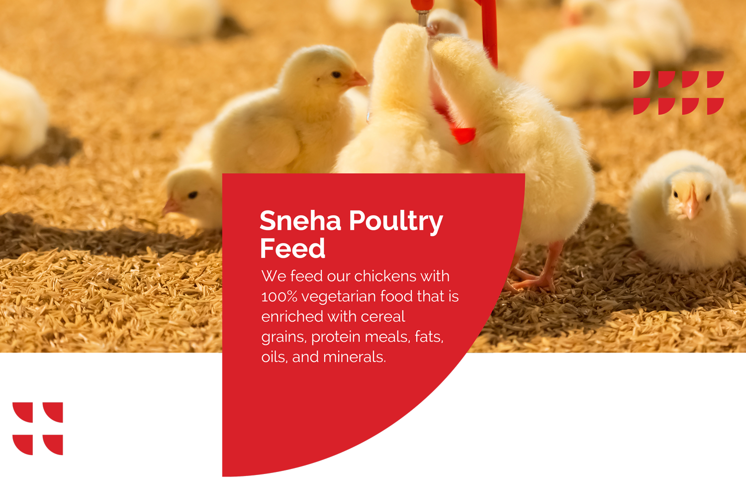 Poultry-Feed