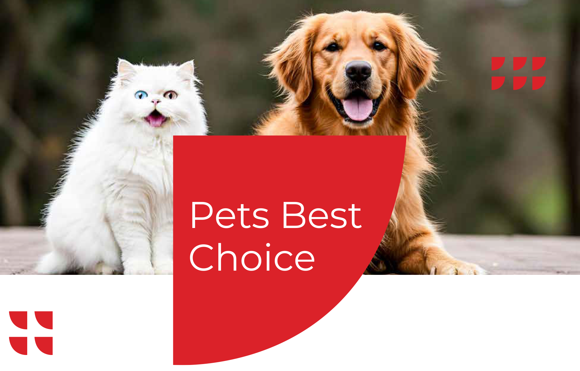 Sneha-Pets-Food-2-1 (1)
